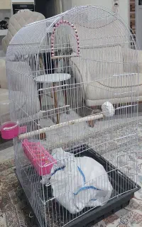 قفس