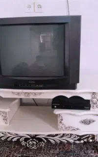 تلویزیون