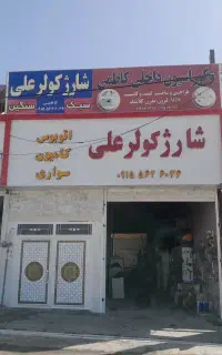 شارژ کولر علی
