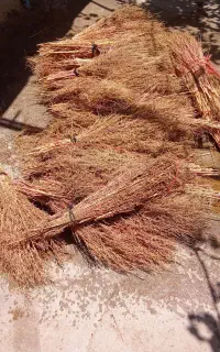 جارو