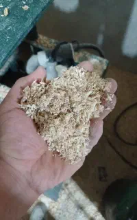 پوشال خاک اره خاک اره چوب