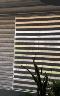 پرده زبرا