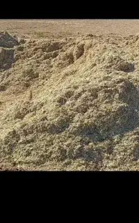 فروش کاه زرد