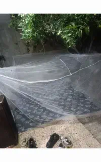 پشه بند