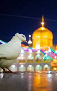 مشهد تعطیلات عید غدیر
