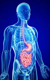 استخدام نیروی خدمات در کلینیک گوارش