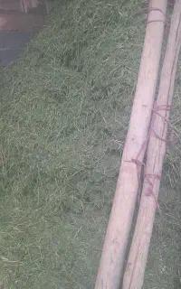 یونجه تحویل انبار