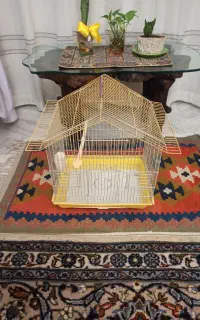 قفس عروس هلندی کاسکوومرغ مینا