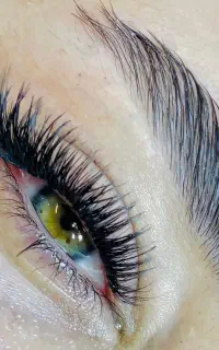 خدمات و آموزش مژه بدون چرخش ریزش