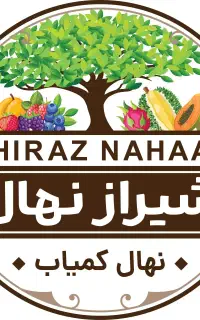 بیش از ۴۰۰مدل نهال میوه ای گلدانی سردسیر و گرمسیر