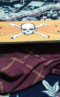 اسکیت برد