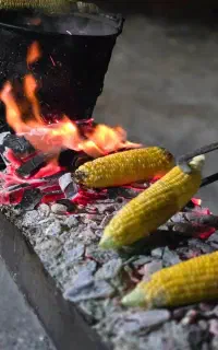 به یک نفر همکاری در کافه رستوران گردنه حیران