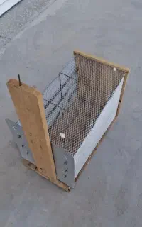 تله گربه گیر