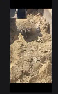 مرغ کود
