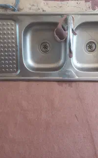 سینگ دوقلو سالم و محکم