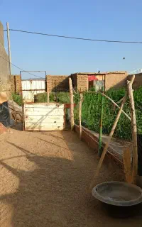 زمین دور دیوار مسکونی،باغچه یا دامداری آینده دار