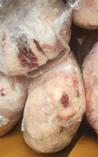 چربی گوساله