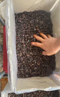 کشمش میکده