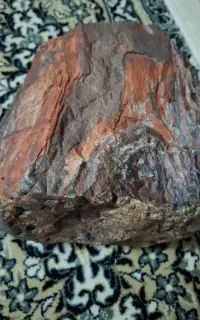 جاسپر یا چوب فسیل