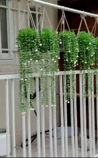 گلاویز زیبا آویز تراس ویلا کافه
