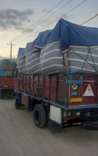کاه گندم