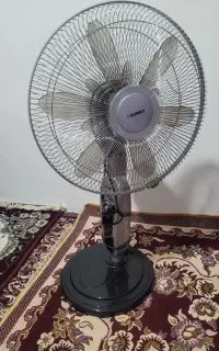 پنکه