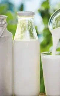 فروش ویژه شیر گوسفندی