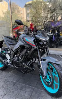 یاماها ام تی MT25 ناردوگری‌ درحد خشک 1403 z250 دوک