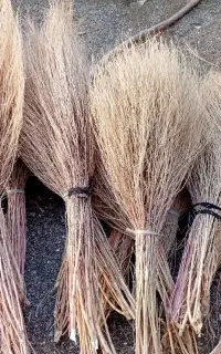 جارو کشمونی