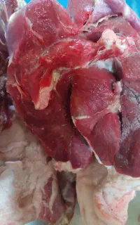 گوشت گوسفند