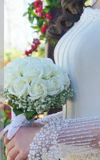 آنلیه عکس و تصویر