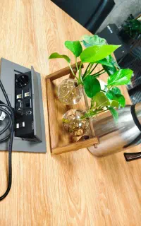 نیروی خدماتی کار در منزل