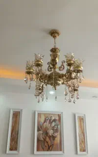 لوستر اقاقیا