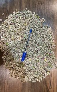 مغز پسته پخش عمده کف قیمت