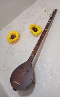 سه تار درحد