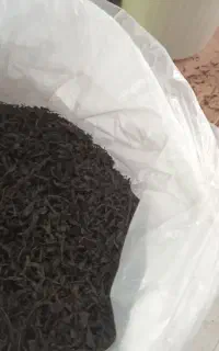چای  ایرانی ارسال از گیلان