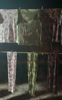 ست.