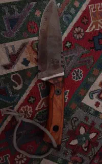 چاقو خوش دست تیز