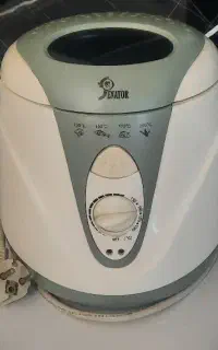 سرخ کن با روغن