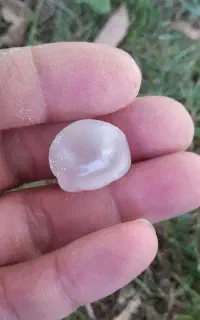 سنگ عقیق سوسنی