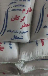 برنج رشتی طارم  فقط کیسه ای ۲۸۰۰