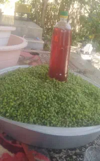 آبغوره