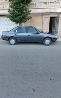 پژو ۴۰۵ لوکس و کم کارکرد