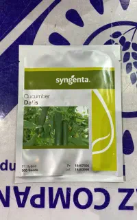 بذر خیار گلخانه داتیس