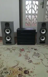ضبط خانگی