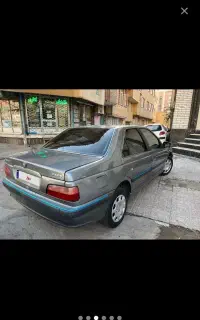 پارس خاکستری سالم