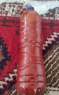 رب خانگی