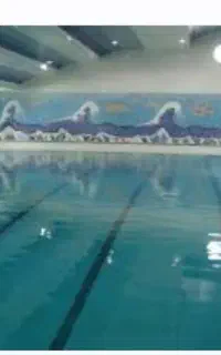کارت استخر صدف