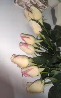 گل رز لمسی مشابه طبیعی