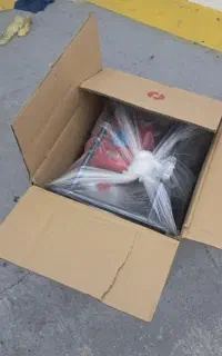 پمپ آب بنزینی ۲ اینچ ۷ اسب رونیکس RH-4051
